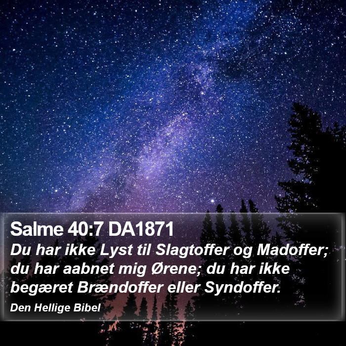 Salme 40:7 DA1871 Bible Study