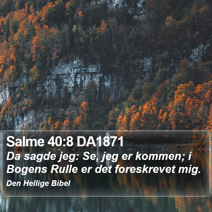 Salme 40:8 DA1871 Bible Study