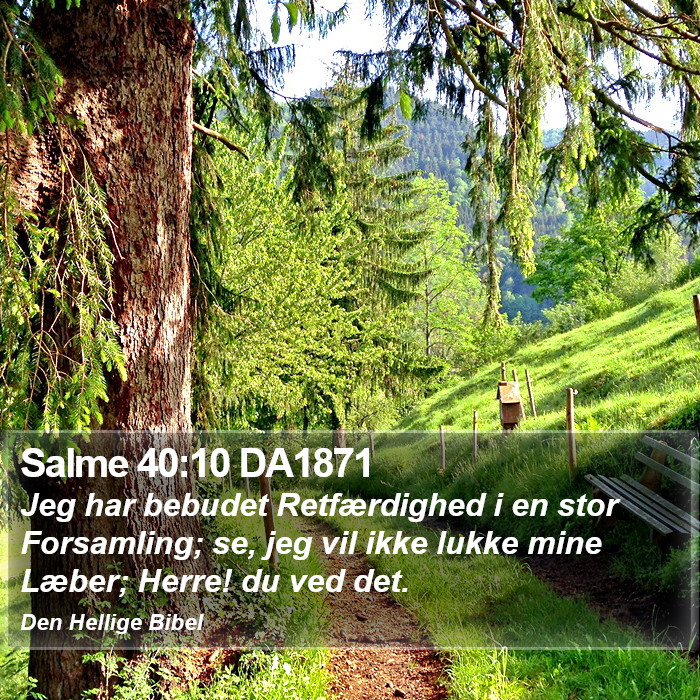 Salme 40:10 DA1871 Bible Study