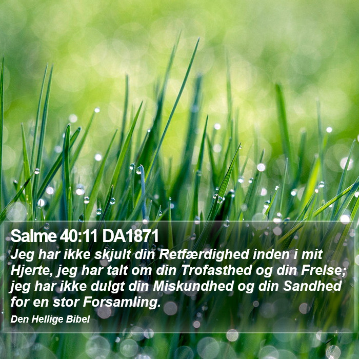 Salme 40:11 DA1871 Bible Study