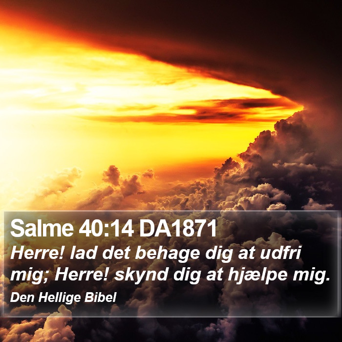 Salme 40:14 DA1871 Bible Study