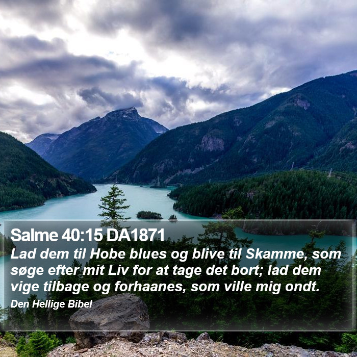 Salme 40:15 DA1871 Bible Study