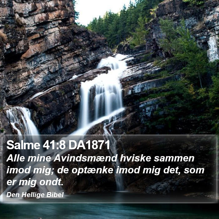 Salme 41:8 DA1871 Bible Study