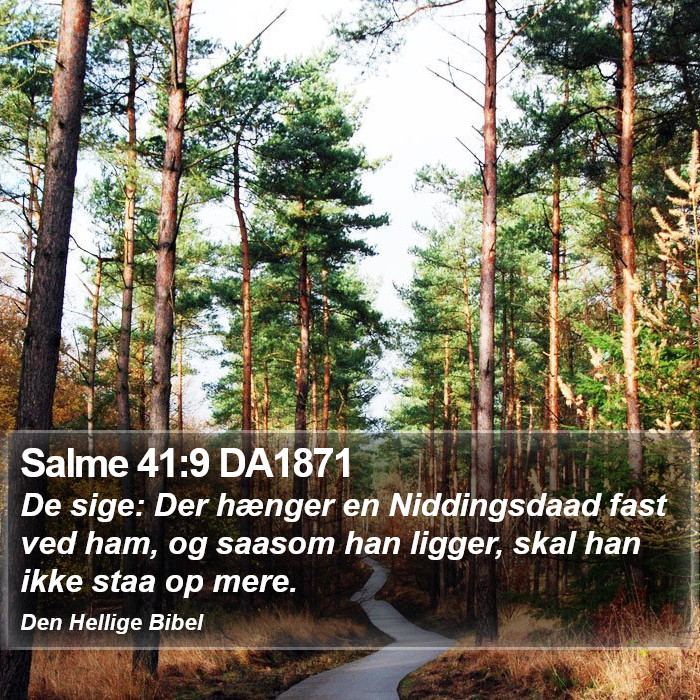 Salme 41:9 DA1871 Bible Study