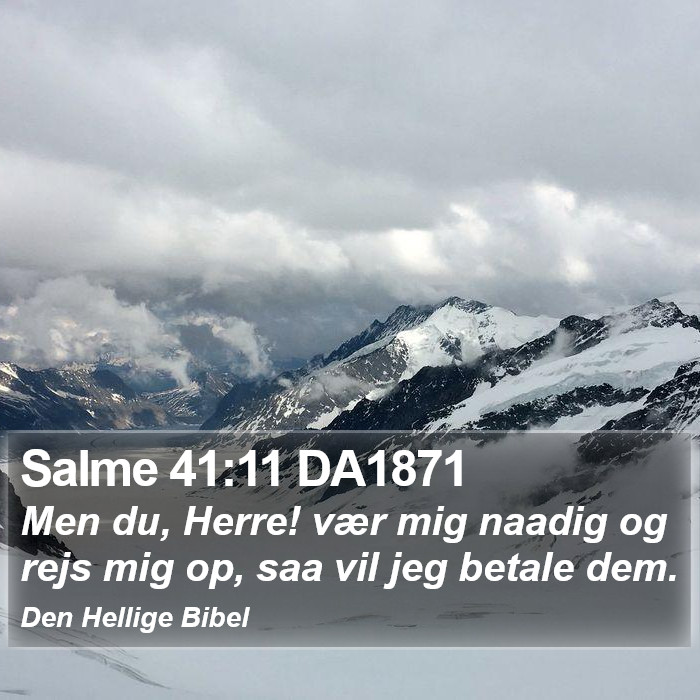 Salme 41:11 DA1871 Bible Study