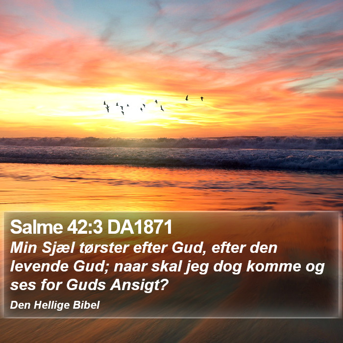 Salme 42:3 DA1871 Bible Study