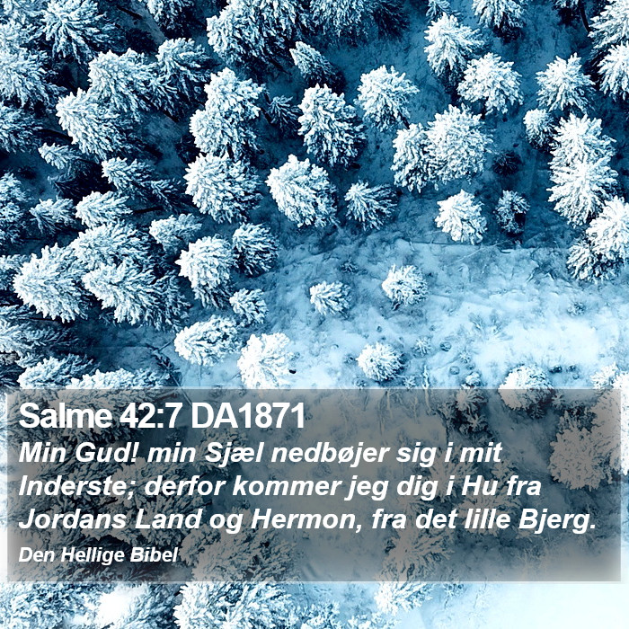 Salme 42:7 DA1871 Bible Study