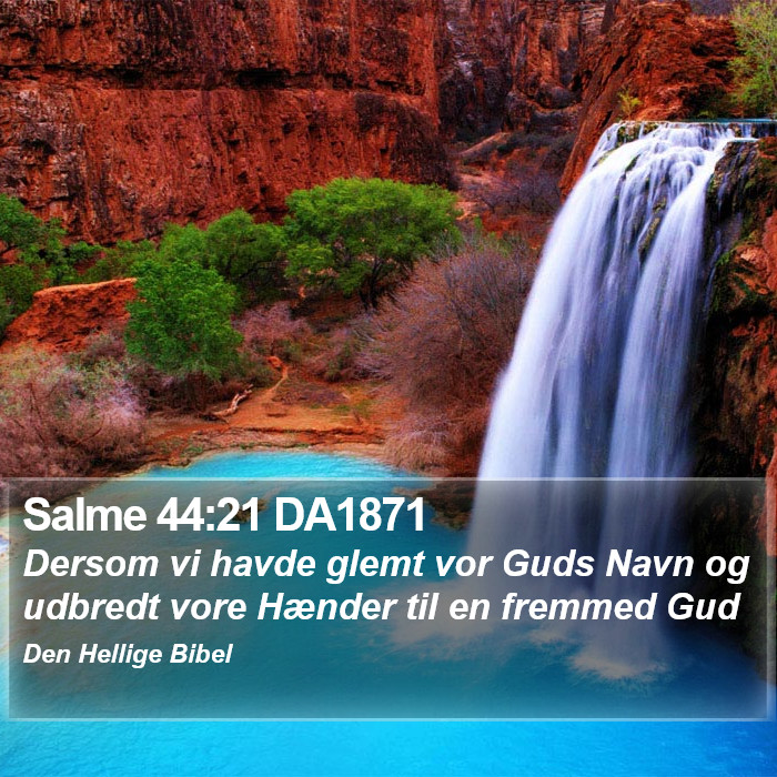 Salme 44:21 DA1871 Bible Study