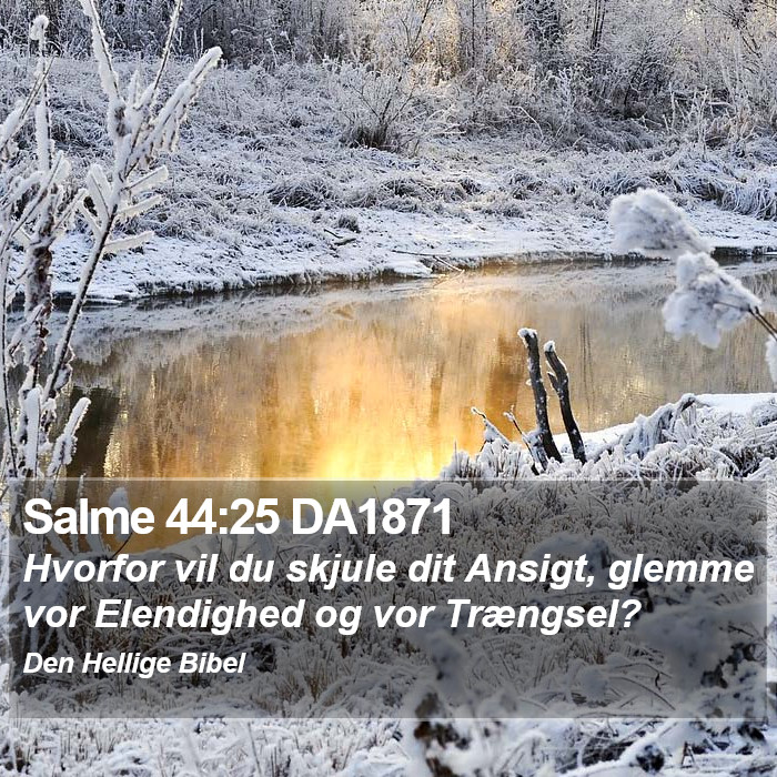 Salme 44:25 DA1871 Bible Study