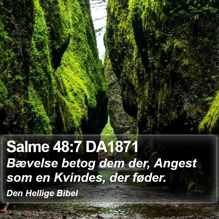 Salme 48:7 DA1871 Bible Study