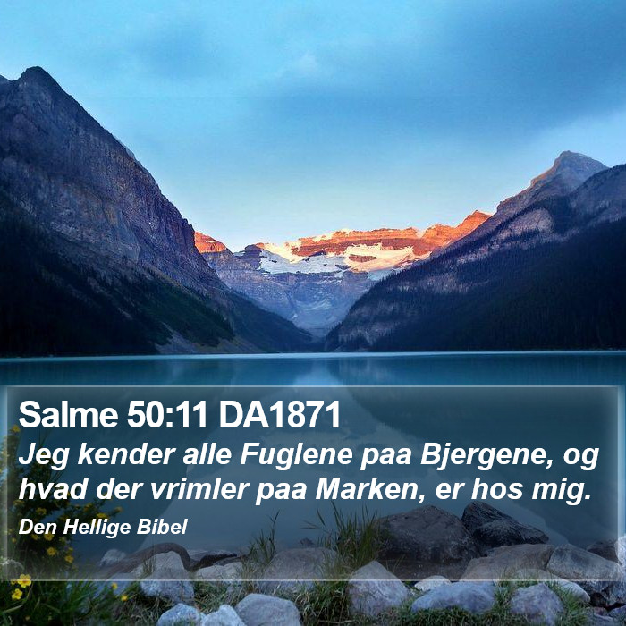 Salme 50:11 DA1871 Bible Study