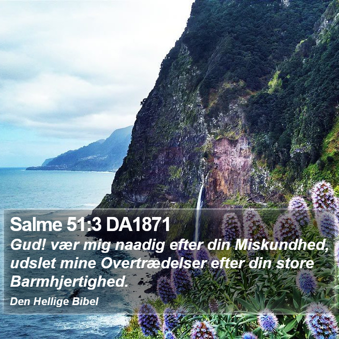 Salme 51:3 DA1871 Bible Study