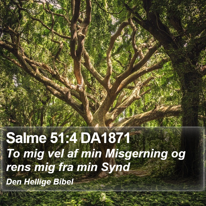 Salme 51:4 DA1871 Bible Study