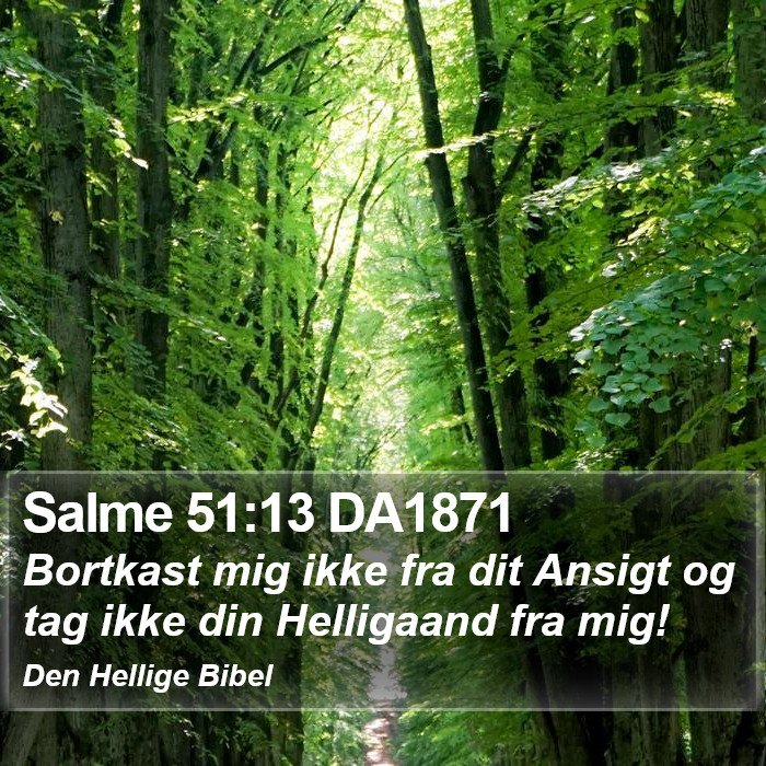 Salme 51:13 DA1871 Bible Study