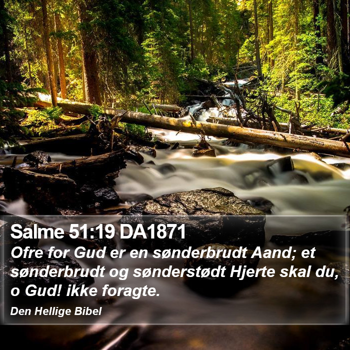 Salme 51:19 DA1871 Bible Study