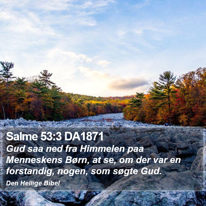 Salme 53:3 DA1871 Bible Study