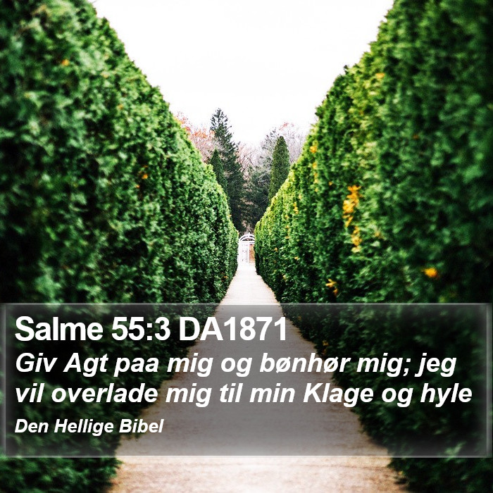 Salme 55:3 DA1871 Bible Study