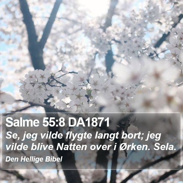 Salme 55:8 DA1871 Bible Study