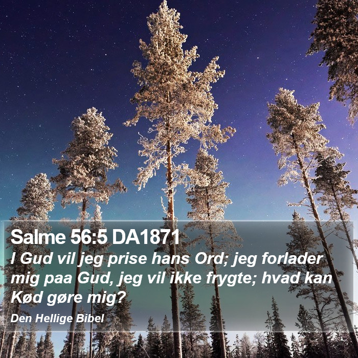 Salme 56:5 DA1871 Bible Study