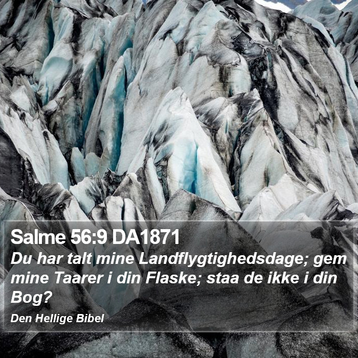 Salme 56:9 DA1871 Bible Study