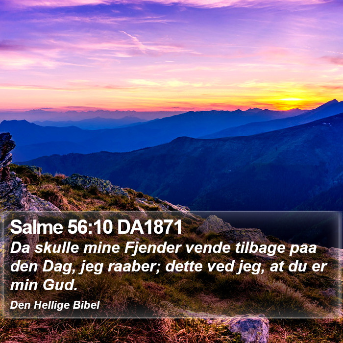 Salme 56:10 DA1871 Bible Study