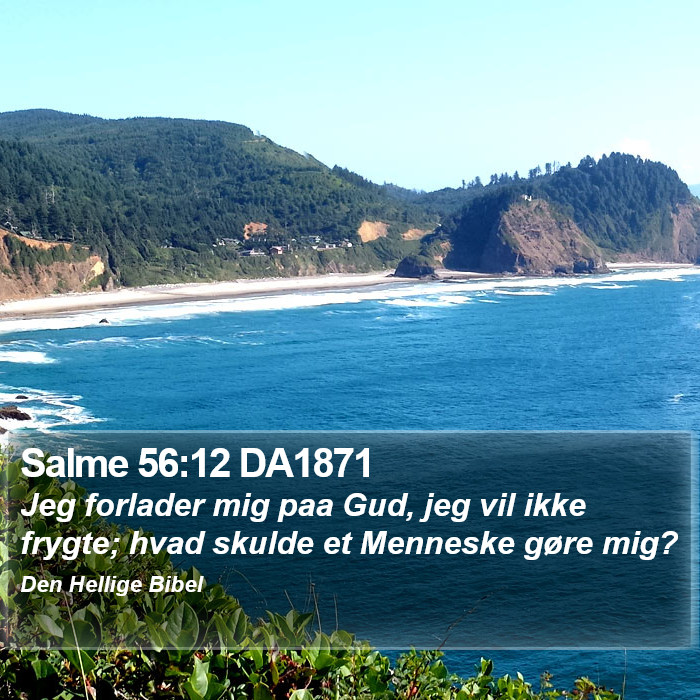 Salme 56:12 DA1871 Bible Study