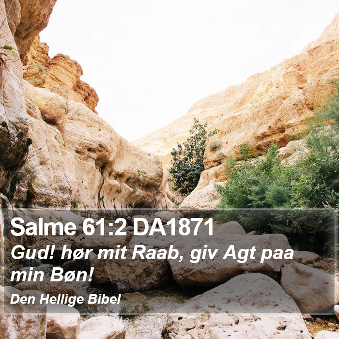 Salme 61:2 DA1871 Bible Study