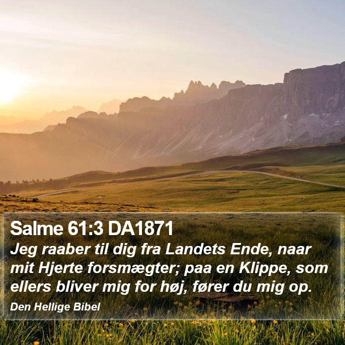 Salme 61:3 DA1871 Bible Study