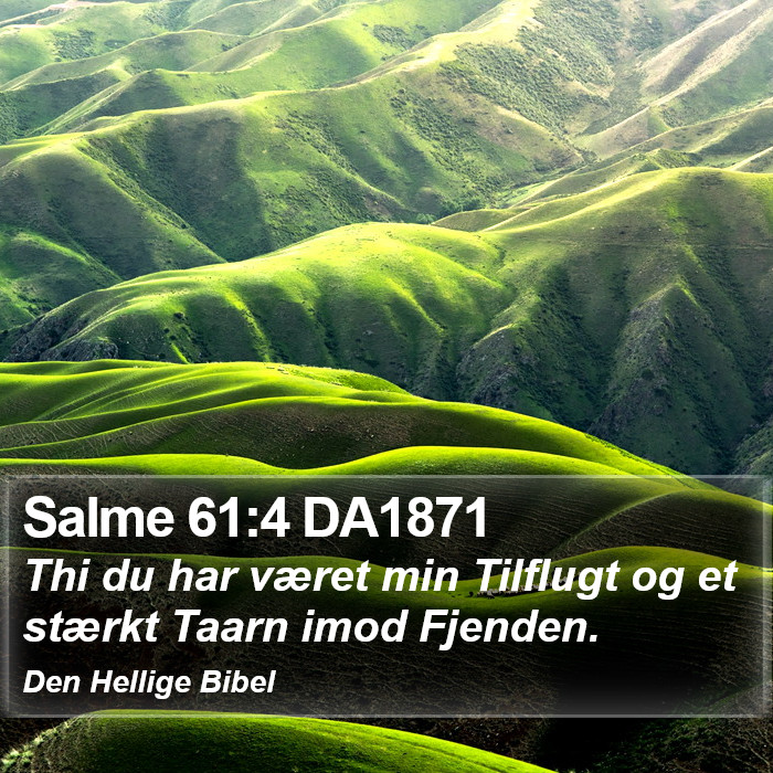 Salme 61:4 DA1871 Bible Study