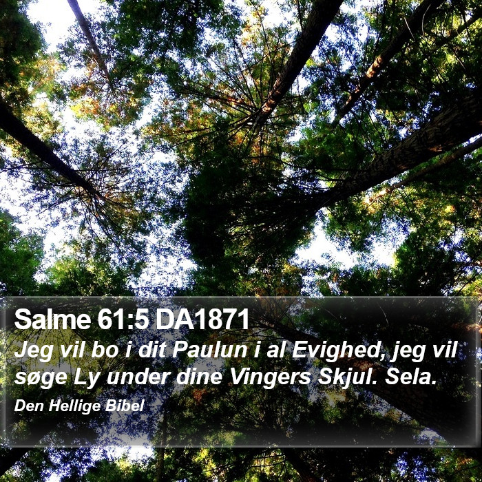 Salme 61:5 DA1871 Bible Study