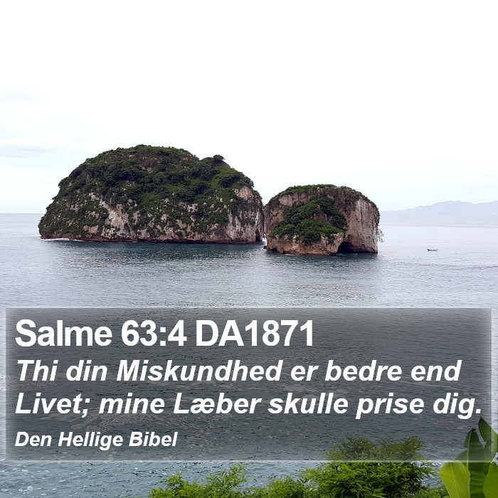 Salme 63:4 DA1871 Bible Study