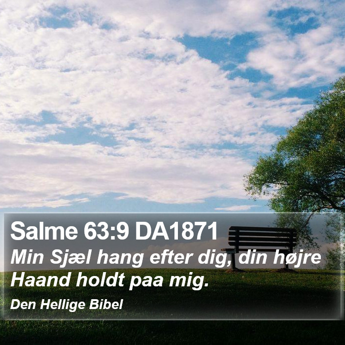 Salme 63:9 DA1871 Bible Study