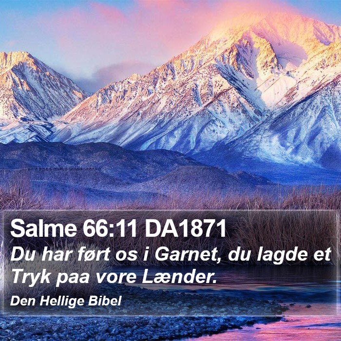 Salme 66:11 DA1871 Bible Study