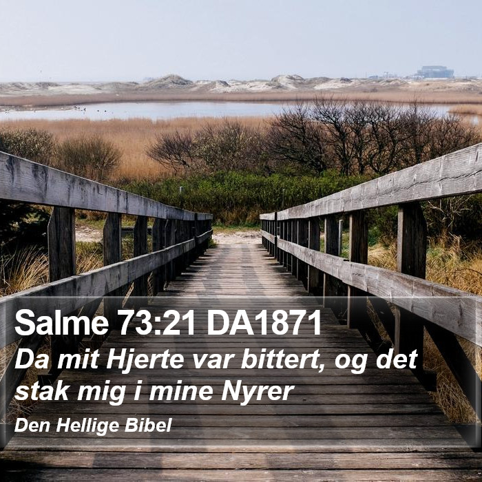 Salme 73:21 DA1871 Bible Study