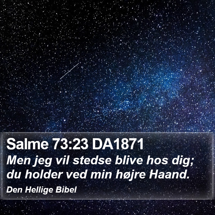 Salme 73:23 DA1871 Bible Study