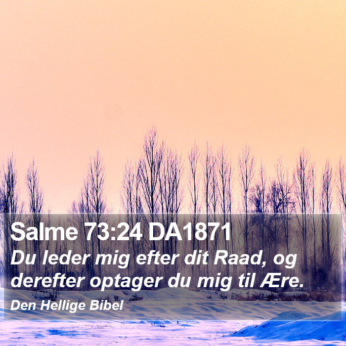 Salme 73:24 DA1871 Bible Study