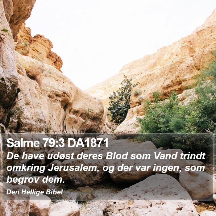 Salme 79:3 DA1871 Bible Study