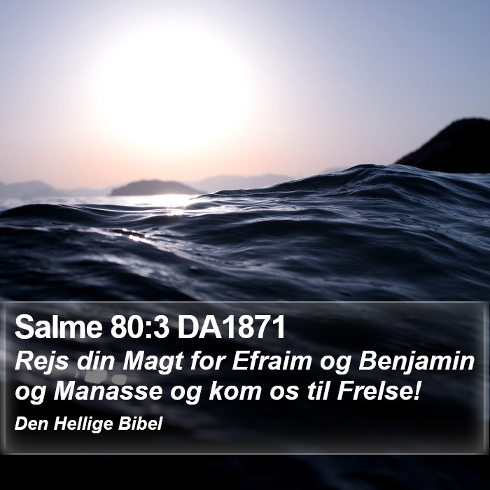 Salme 80:3 DA1871 Bible Study