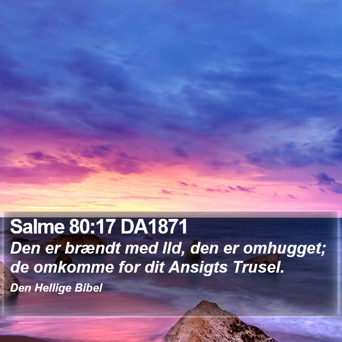 Salme 80:17 DA1871 Bible Study