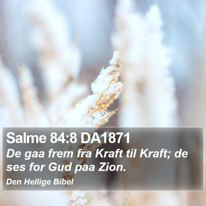 Salme 84:8 DA1871 Bible Study