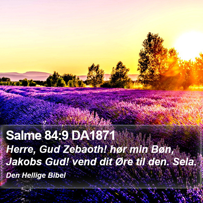 Salme 84:9 DA1871 Bible Study