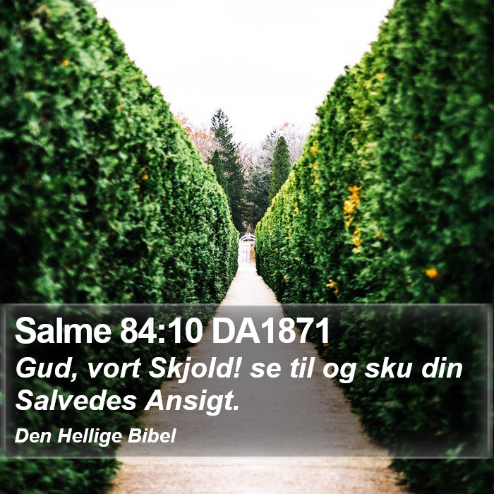 Salme 84:10 DA1871 Bible Study