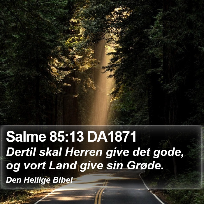 Salme 85:13 DA1871 Bible Study