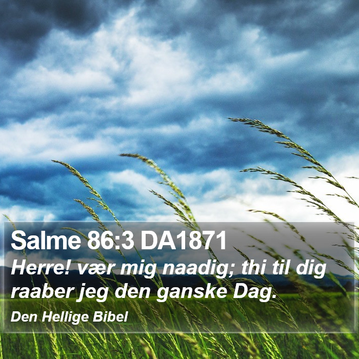 Salme 86:3 DA1871 Bible Study