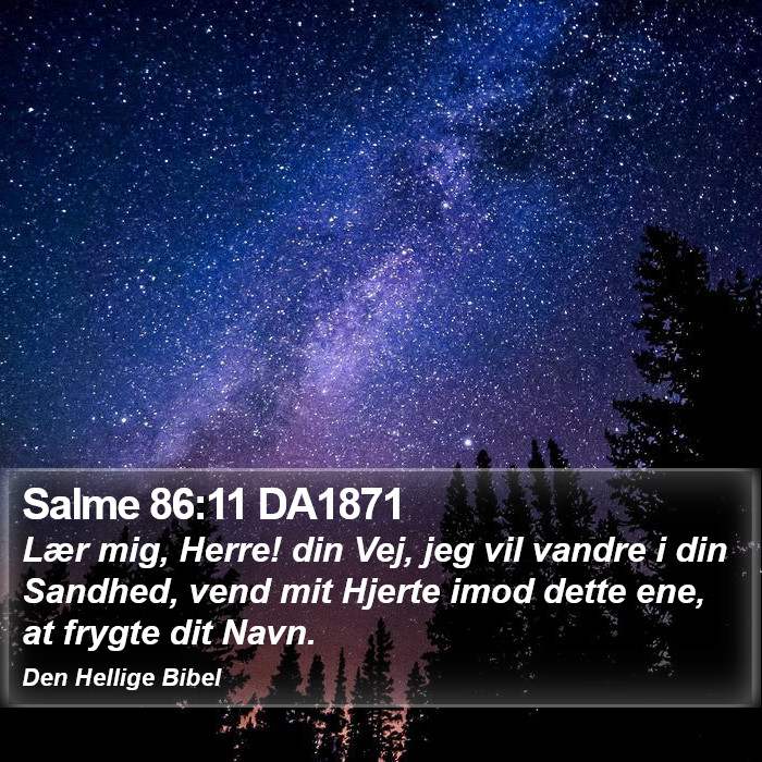 Salme 86:11 DA1871 Bible Study