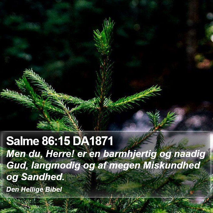 Salme 86:15 DA1871 Bible Study