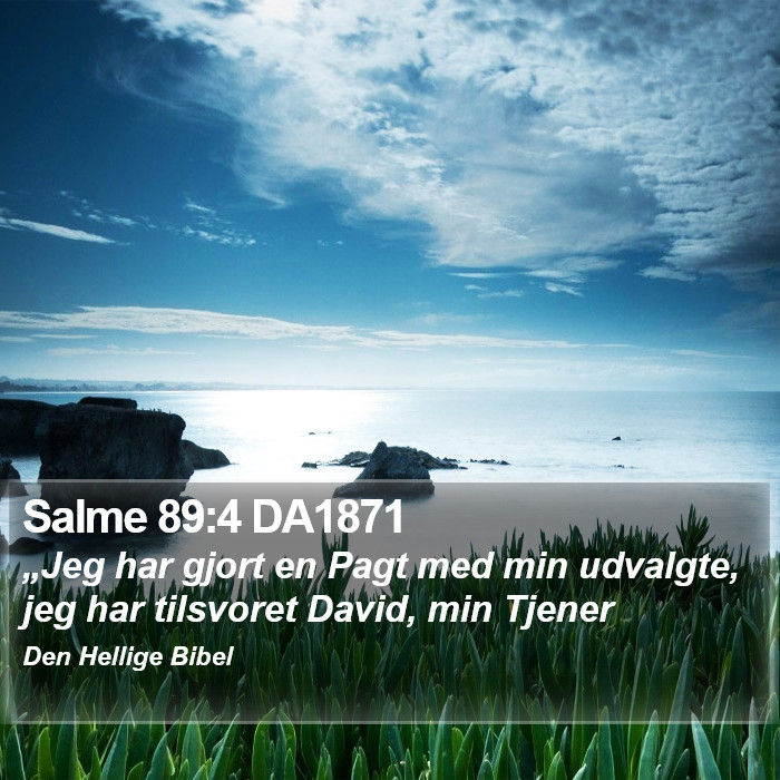 Salme 89:4 DA1871 Bible Study