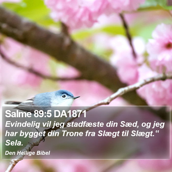 Salme 89:5 DA1871 Bible Study