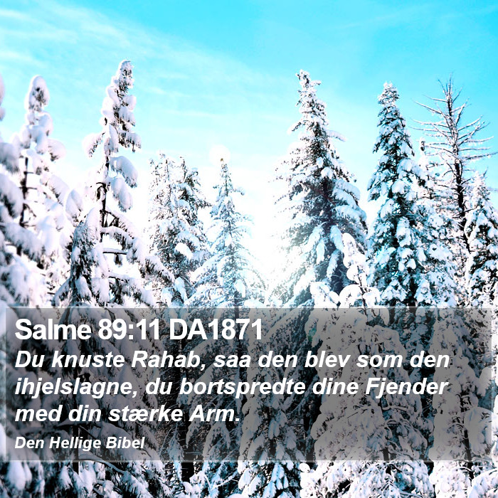 Salme 89:11 DA1871 Bible Study