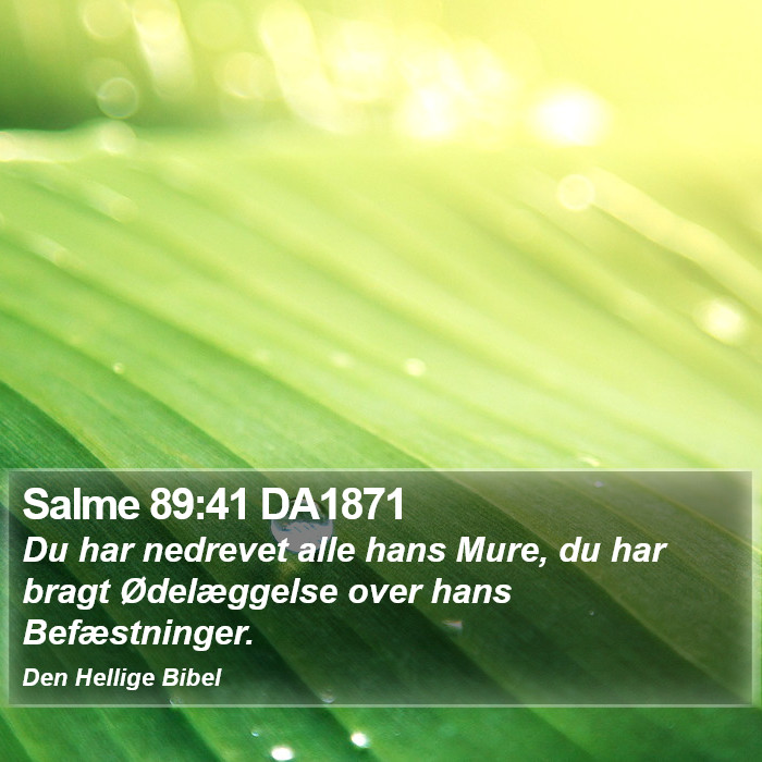 Salme 89:41 DA1871 Bible Study